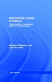 International Judicial Institutions