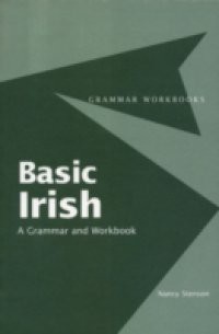 Basic Irish: A Grammar and Workbook