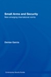 Small Arms and Security