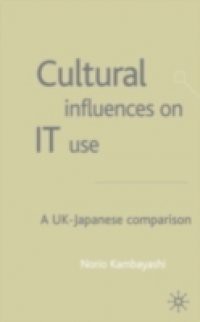 Cultural Influences on IT Use