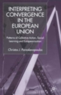 Interpreting Convergence in the European Union