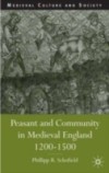 Peasant and Community in Medieval England, 1200-1500