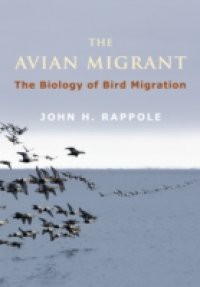 Avian Migrant