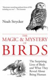 Magic and Mystery of Birds