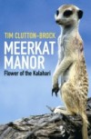 Meerkat Manor