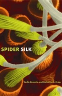 Spider Silk