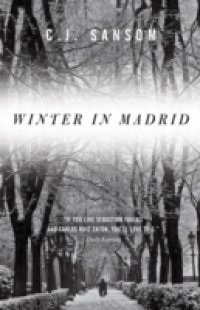 Winter in Madrid