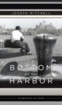 Bottom of the Harbor