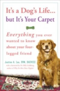 It's a Dog's Life…but It's Your Carpet