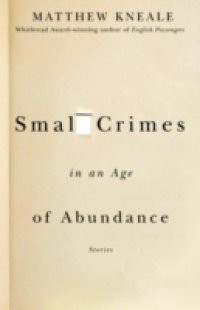 Small Crimes in an Age of Abundance