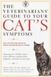 Veterinarians' Guide to Your Cat's Symptoms