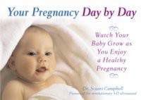 Your Pregnancy Day by Day