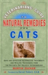 Veterinarians' Guide to Natural Remedies for Cats