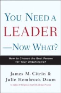 You Need a Leader–Now What?
