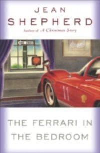 Ferrari in the Bedroom