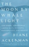 Moon By Whale Light