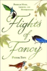 Flights of Fancy