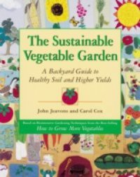 Sustainable Vegetable Garden