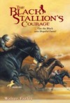 Black Stallion's Courage
