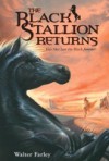 Black Stallion Returns