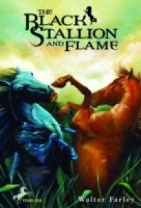 Black Stallion and Flame