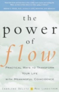 Power of Flow