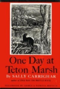 One Day At Teton Marsh