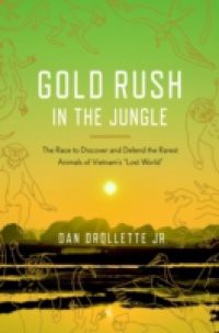 Gold Rush in the Jungle