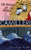 Patience of the Spider