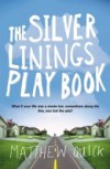 Silver Linings Playbook