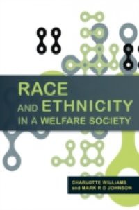 Race And Ethnicity In A Welfare Society