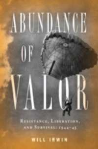 Abundance of Valor