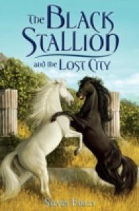 Black Stallion and the Lost City