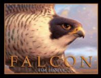 Falcon