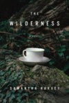 Wilderness