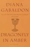 Dragonfly in Amber