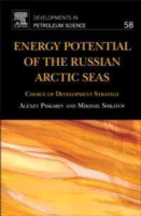 Energy Potential of the Russian Arctic Seas