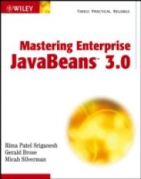 Mastering Enterprise JavaBeans 3.0