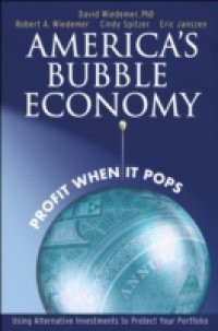 America's Bubble Economy