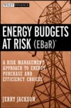 Energy Budgets at Risk (EBaR)