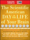 Scientific American Day in the Life of Your Brain