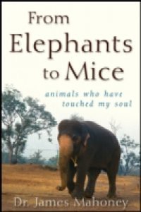 From Elephants to Mice