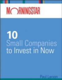 Morningstar's 10 Small Companies to Invest in Now