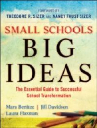 Small Schools, Big Ideas