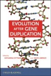Evolution after Gene Duplication