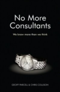 No More Consultants