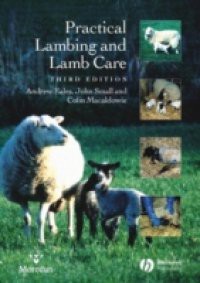 Practical Lambing and Lamb Care