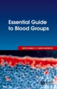 Essential Guide to Blood Groups