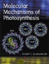 Molecular Mechanisms of Photosynthesis
