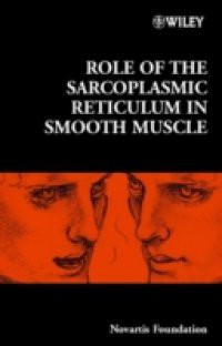 Role of the Sarcoplasmic Reticulum in Smooth Muscle